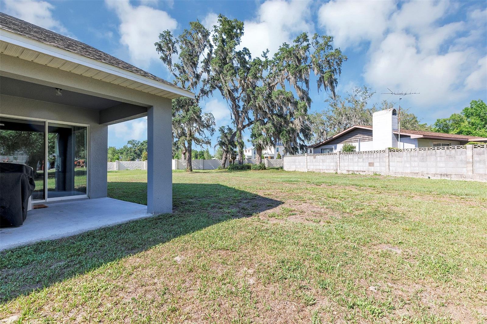 1520 BAYWOOD VILLAGE CT, MOUNT DORA, FL, 32757