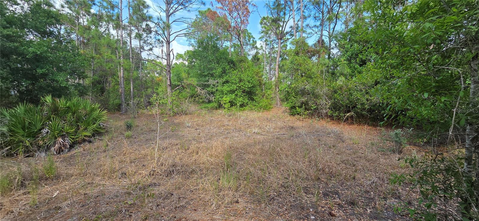 27402 MANDALAY DR, PUNTA GORDA, FL, 33955