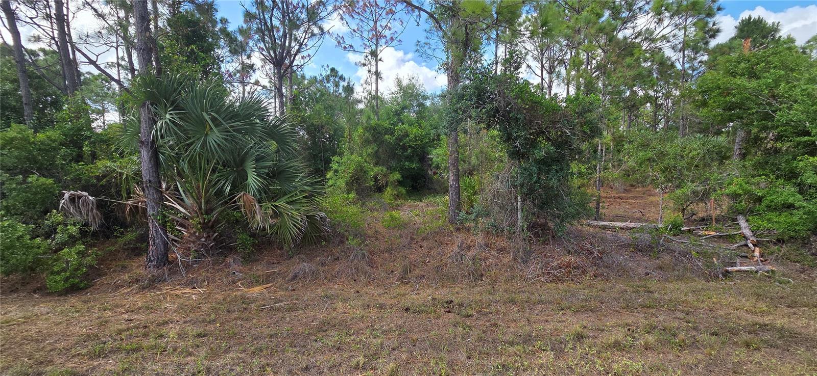 27402 MANDALAY DR, PUNTA GORDA, FL, 33955