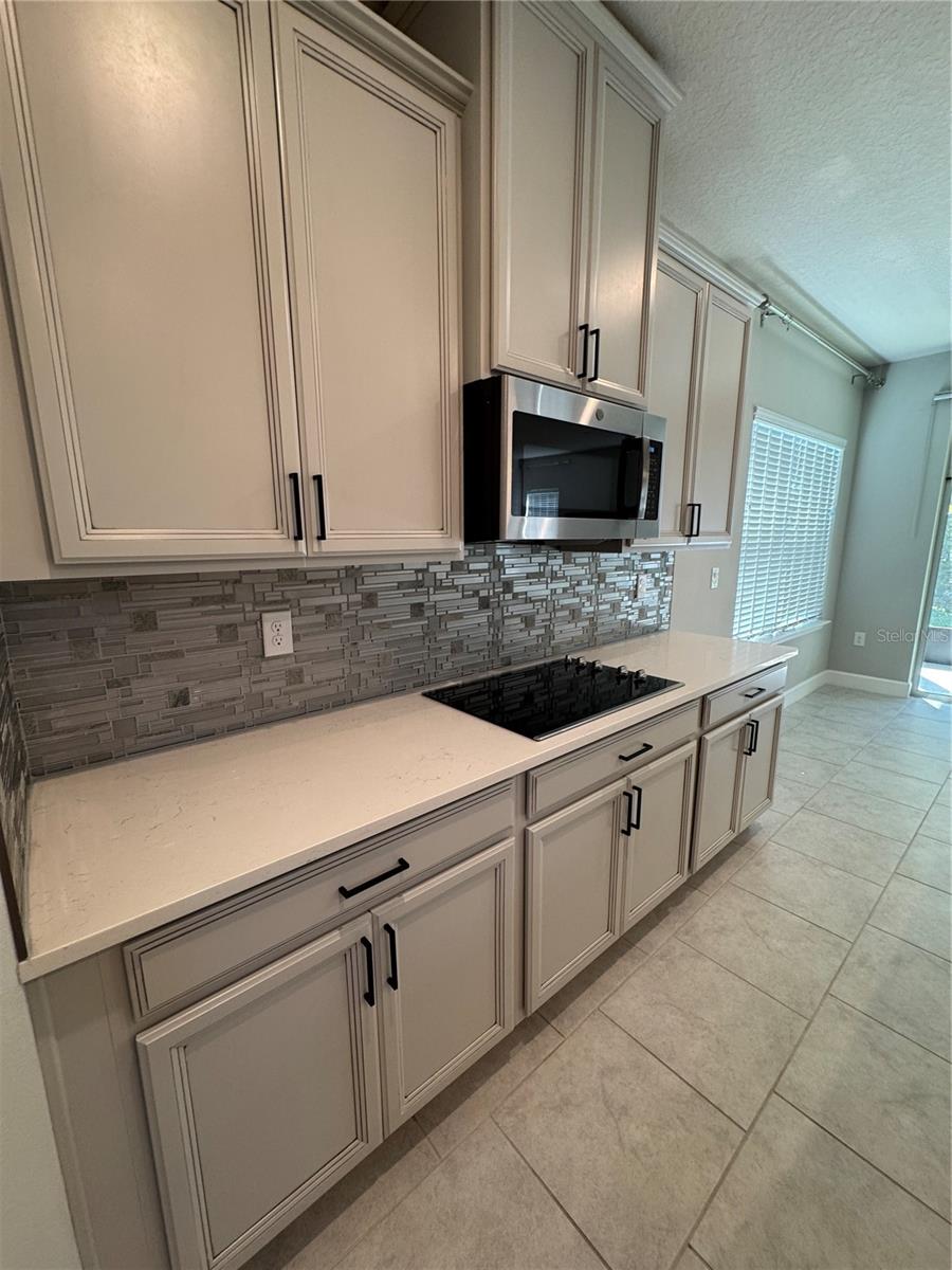 281 SIESTA VISTA CT, DAVENPORT, FL, 33896