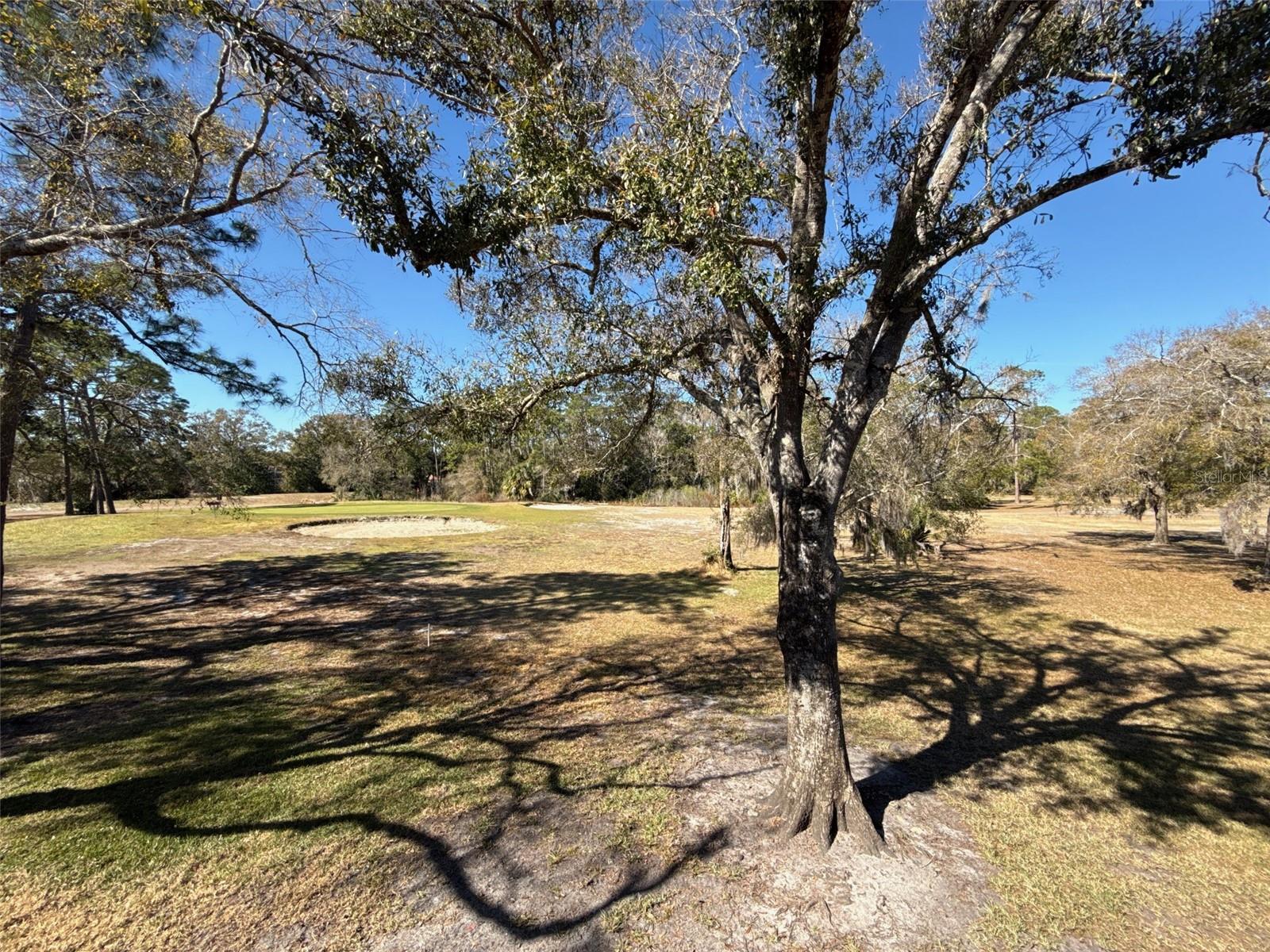 3505 TARPON WOODS BLVD #J408, PALM HARBOR, FL, 34685