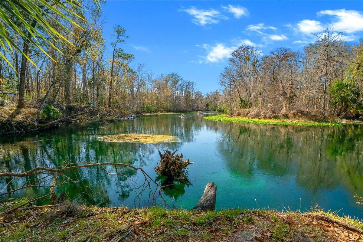 3273 NE 102ND AVENUE RD, SILVER SPRINGS, FL, 34488