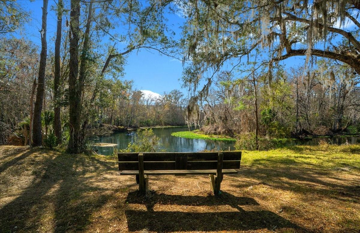 3273 NE 102ND AVENUE RD, SILVER SPRINGS, FL, 34488