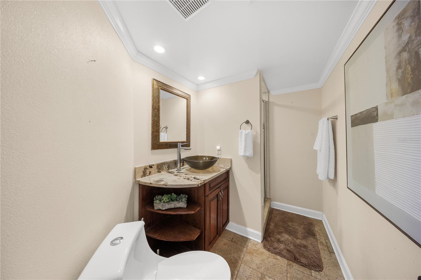 12416 STILLWATER TERRACE DR, TAMPA, FL, 33618