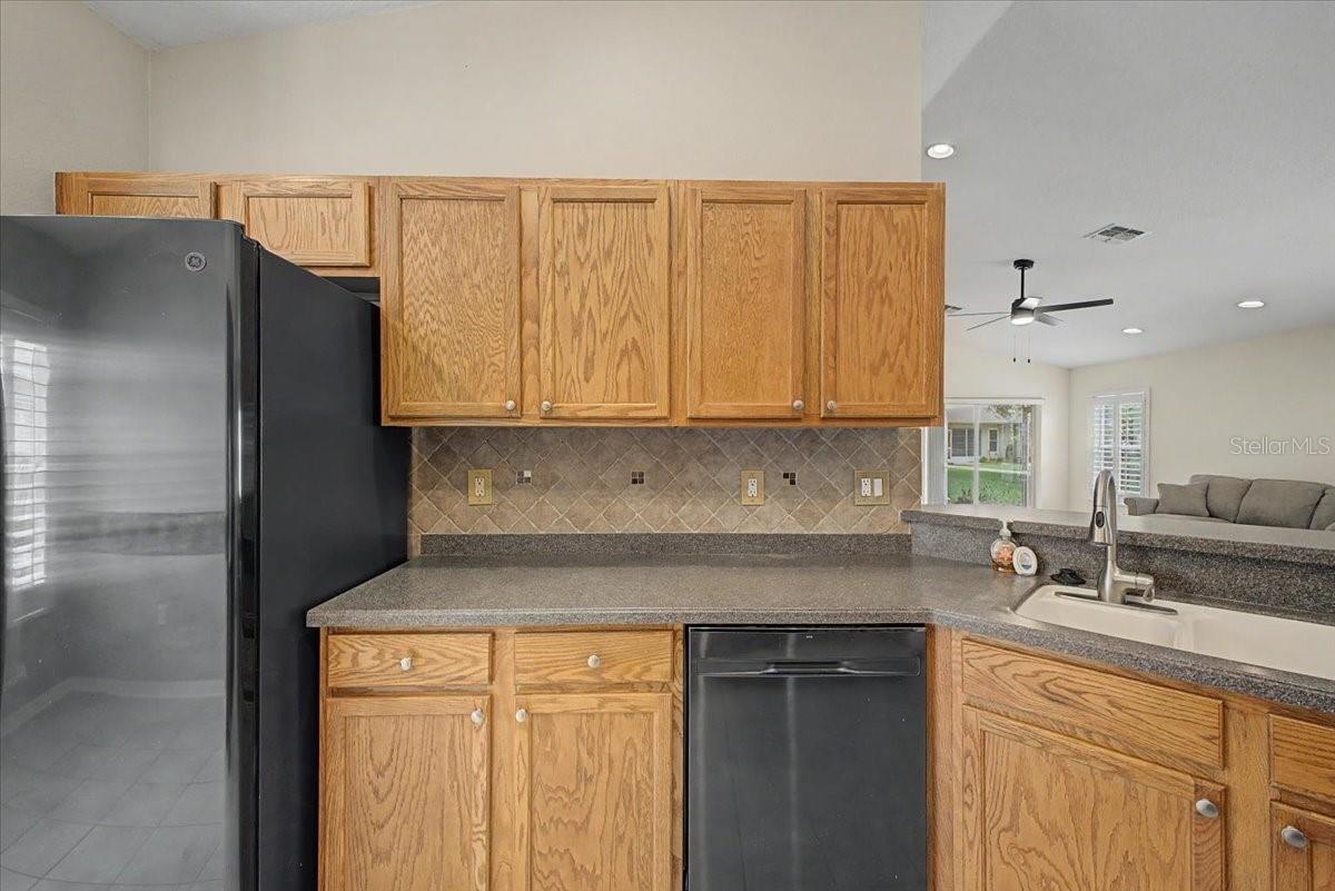 366 BARRINGTON CT, SPRING HILL, FL, 34609