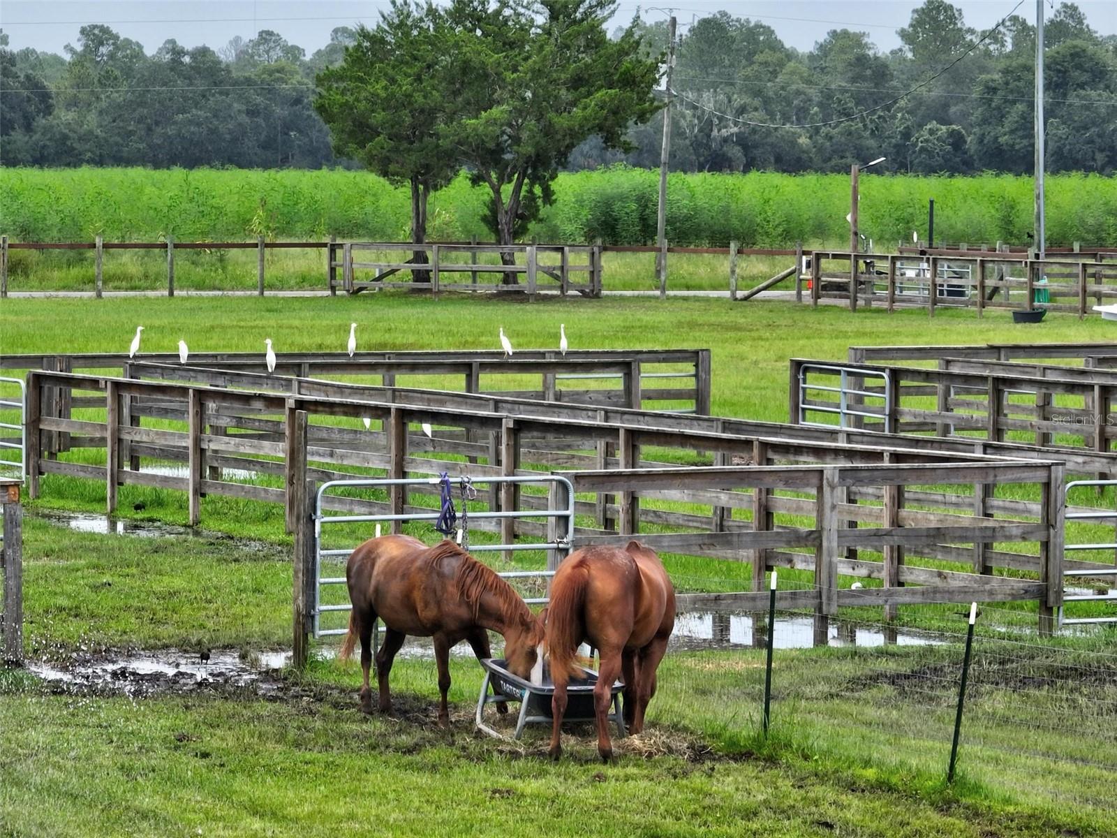596 E COUNTY ROAD 90, BUNNELL, FL, 32110