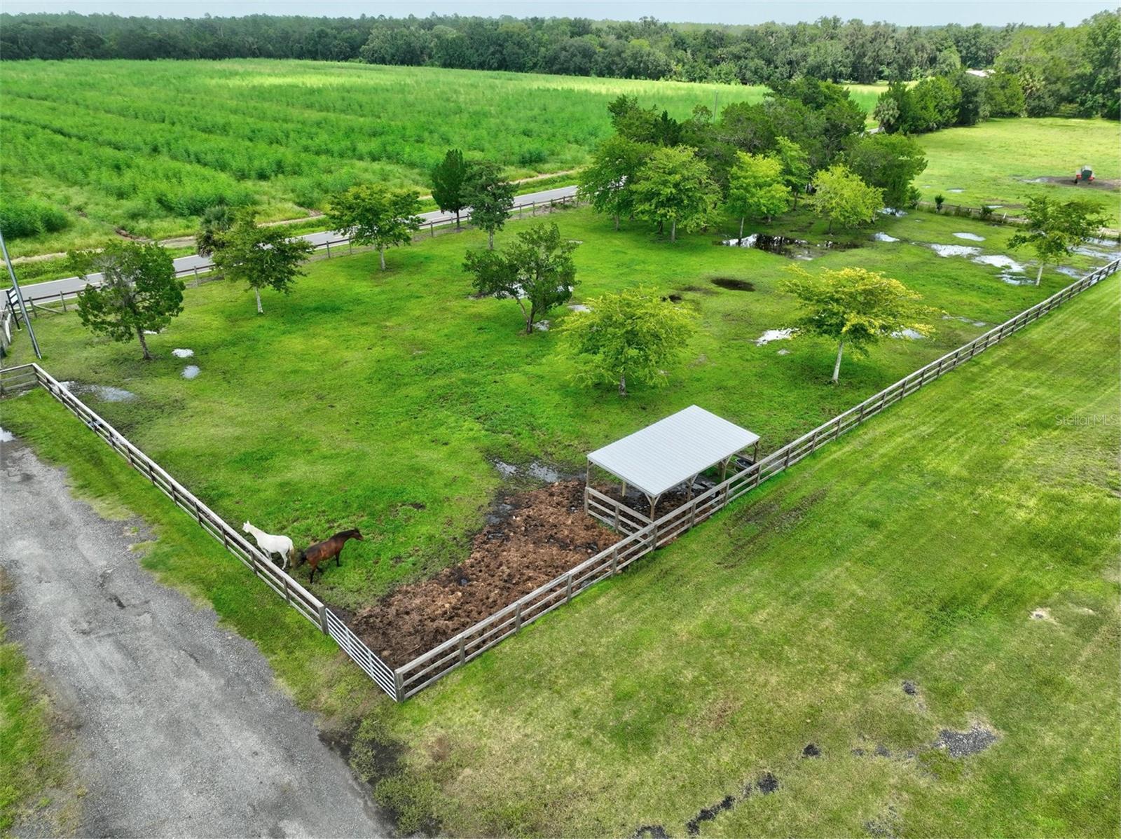 596 E COUNTY ROAD 90, BUNNELL, FL, 32110
