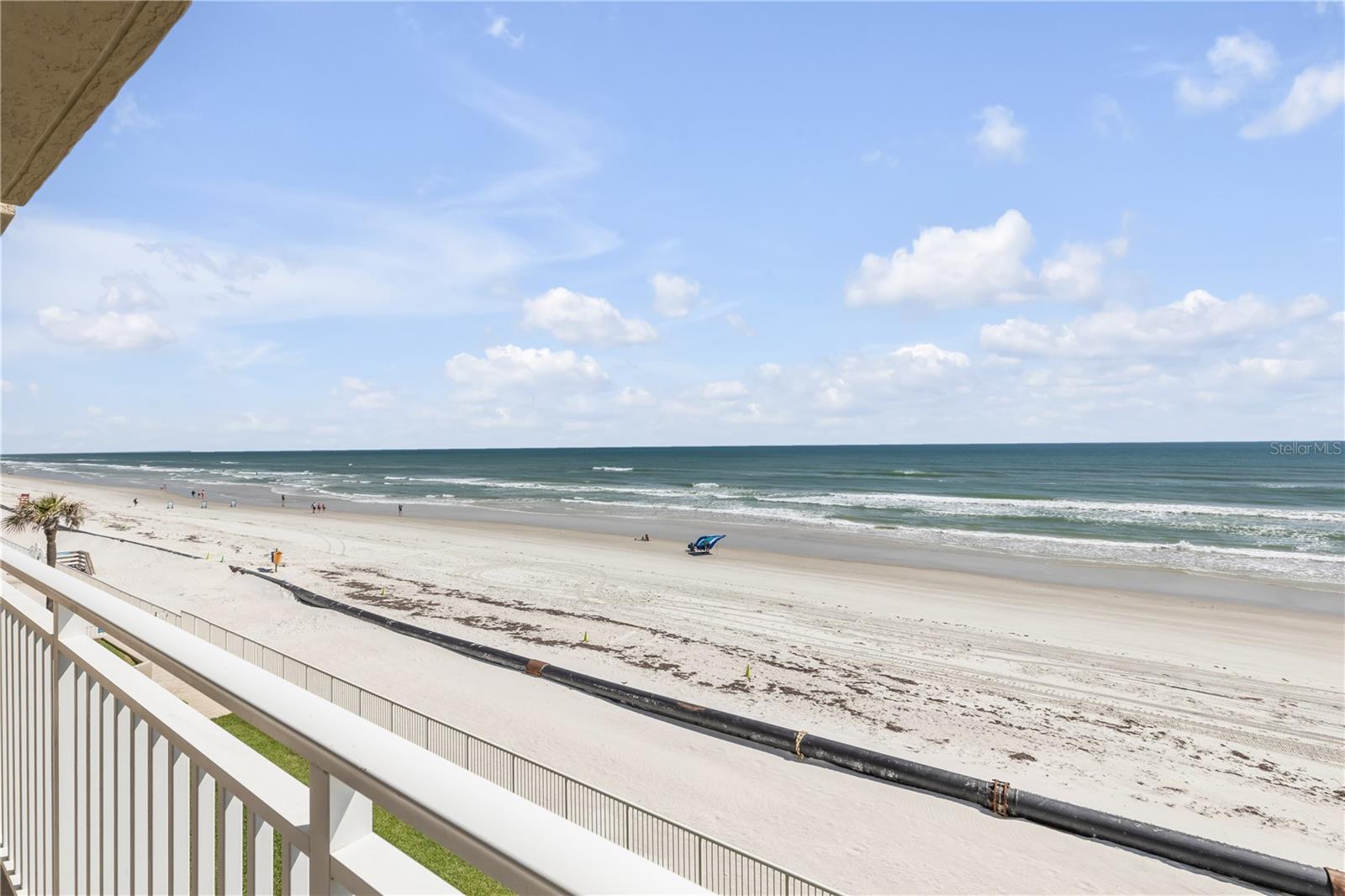 PELICAN, NEW SMYRNA BEACH, FL, 32169