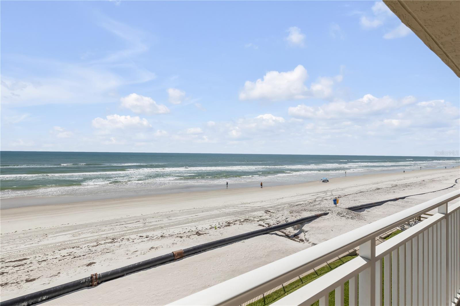 PELICAN, NEW SMYRNA BEACH, FL, 32169