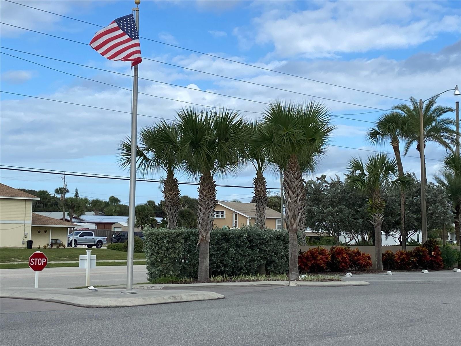 PELICAN, NEW SMYRNA BEACH, FL, 32169