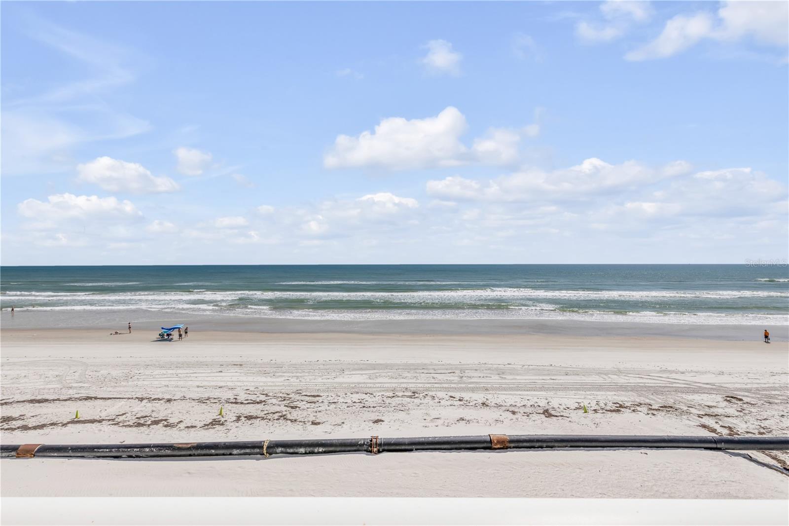PELICAN, NEW SMYRNA BEACH, FL, 32169