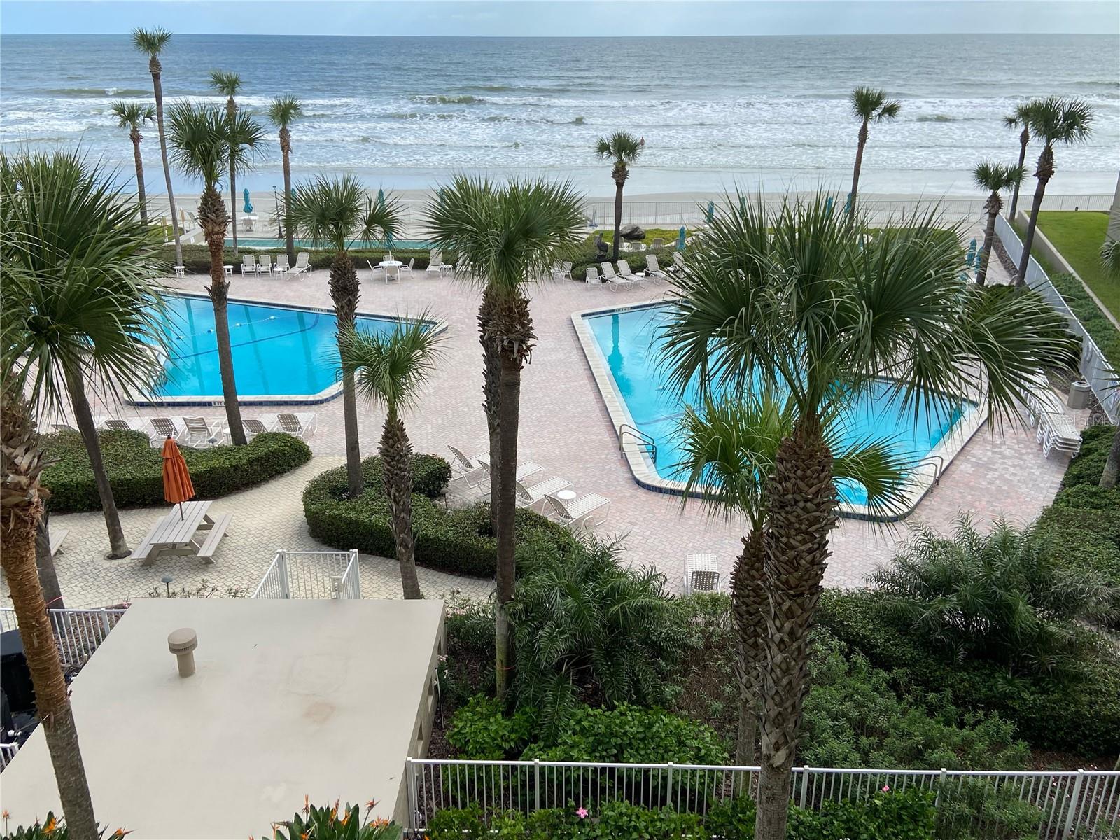 PELICAN, NEW SMYRNA BEACH, FL, 32169