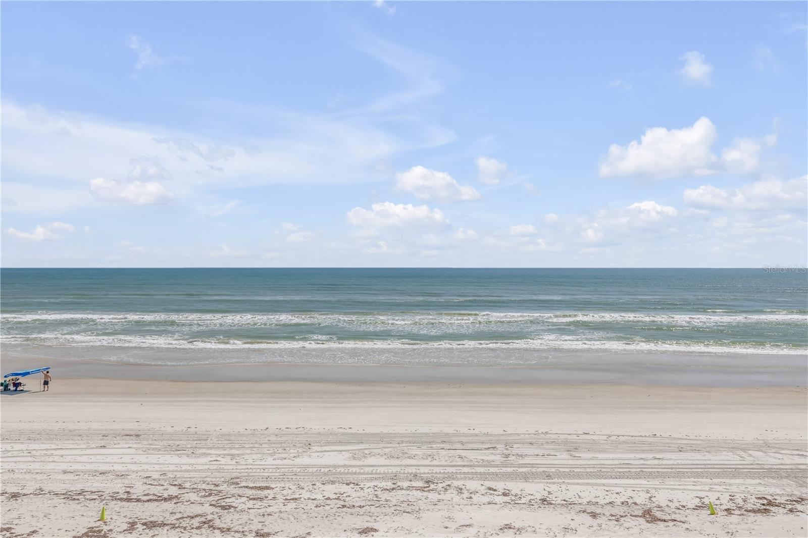 PELICAN, NEW SMYRNA BEACH, FL, 32169