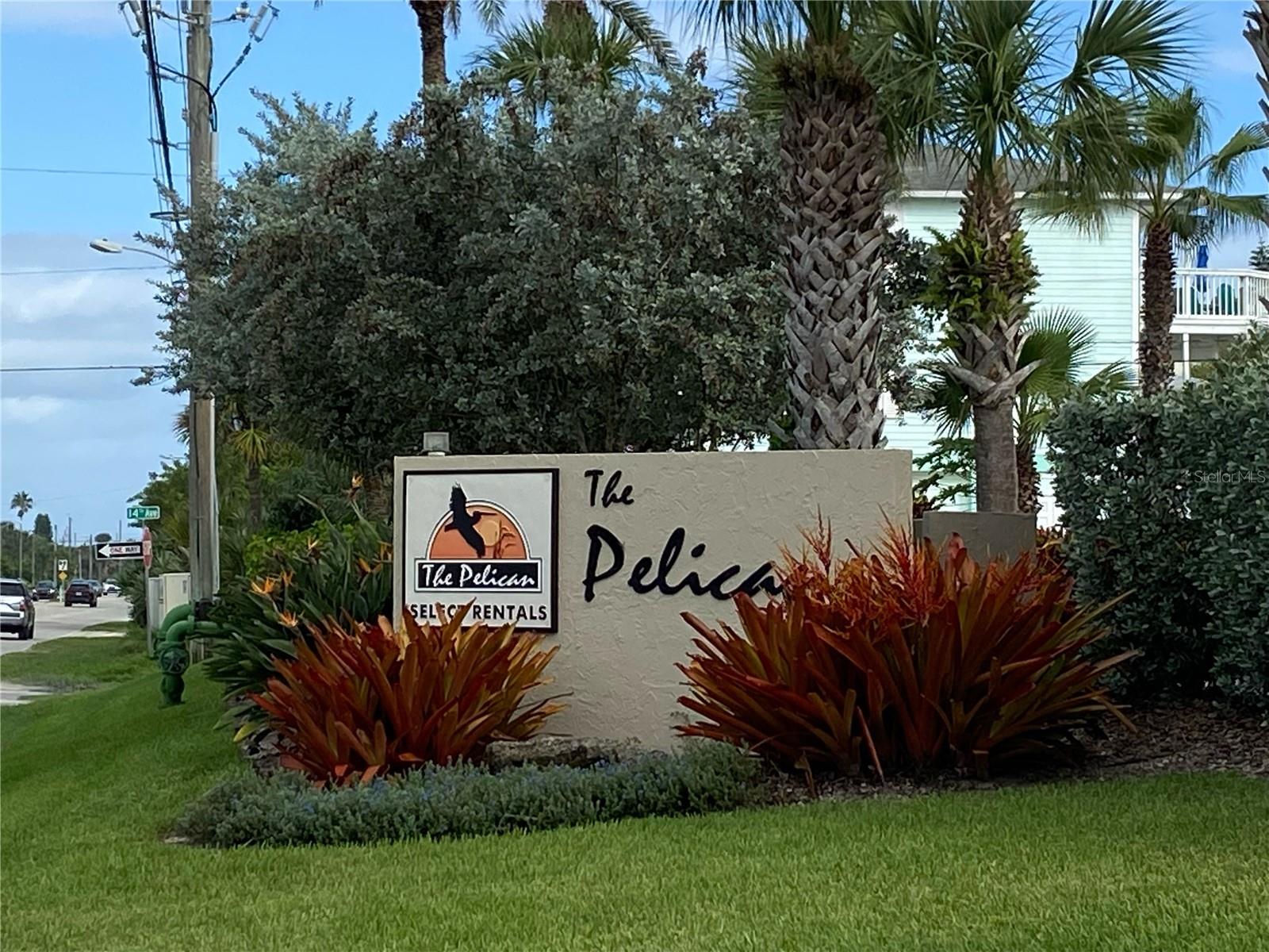 PELICAN, NEW SMYRNA BEACH, FL, 32169