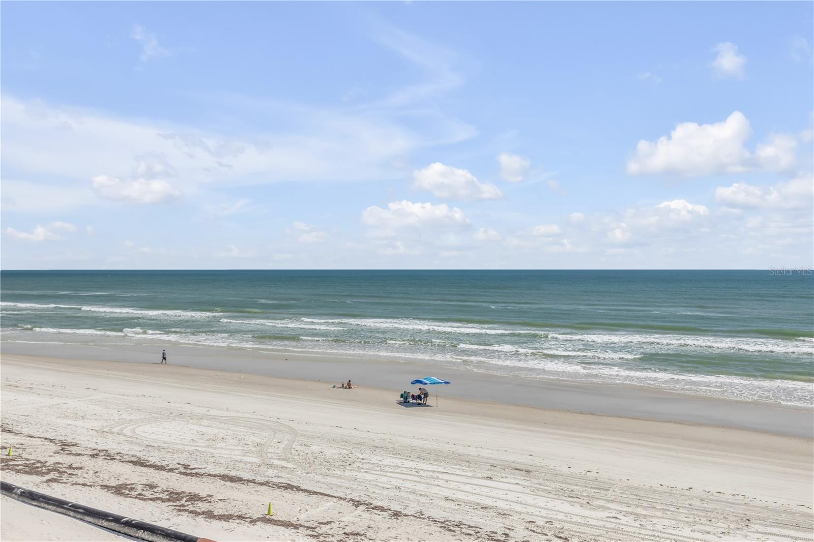 PELICAN, NEW SMYRNA BEACH, FL, 32169