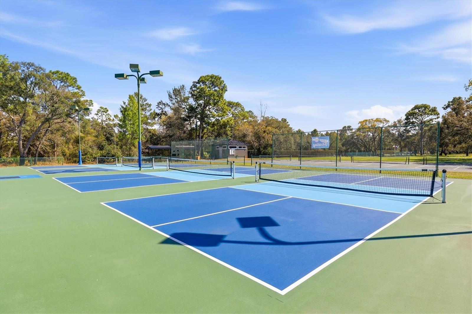 9037 PENELOPE DR, WEEKI WACHEE, FL, 34613