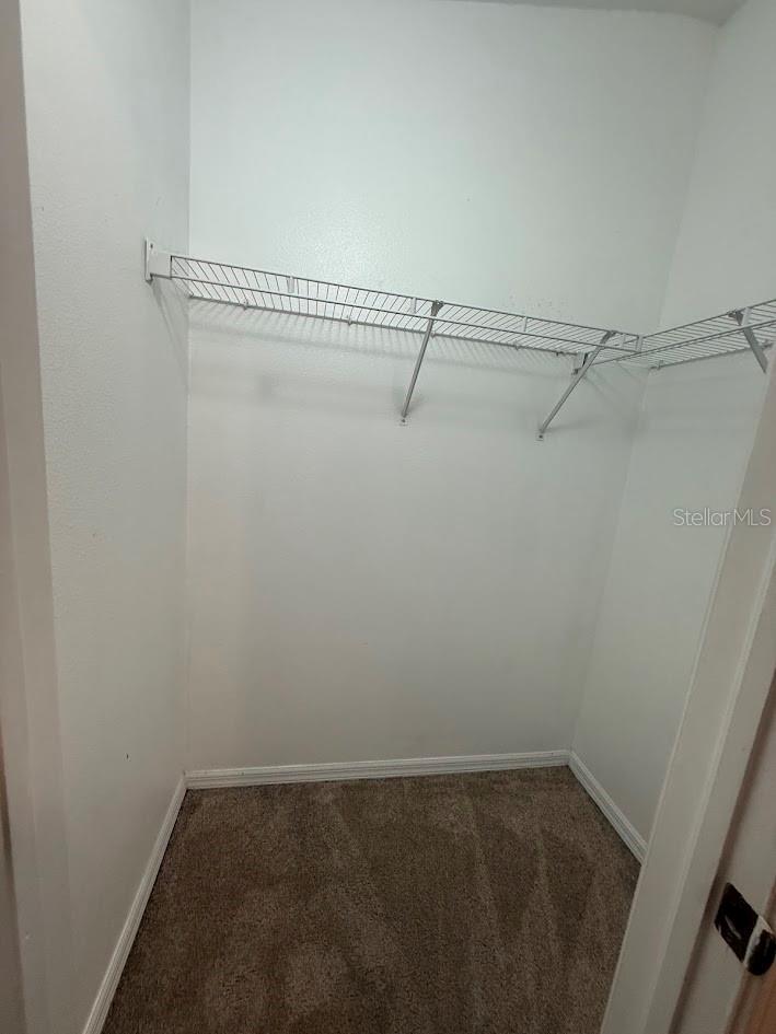 12403 FOXMOOR PEAK DR, RIVERVIEW, FL, 33579