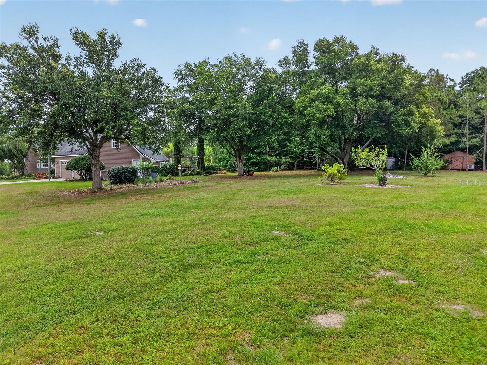 20514 BILL COLLINS RD, EUSTIS, FL, 32736