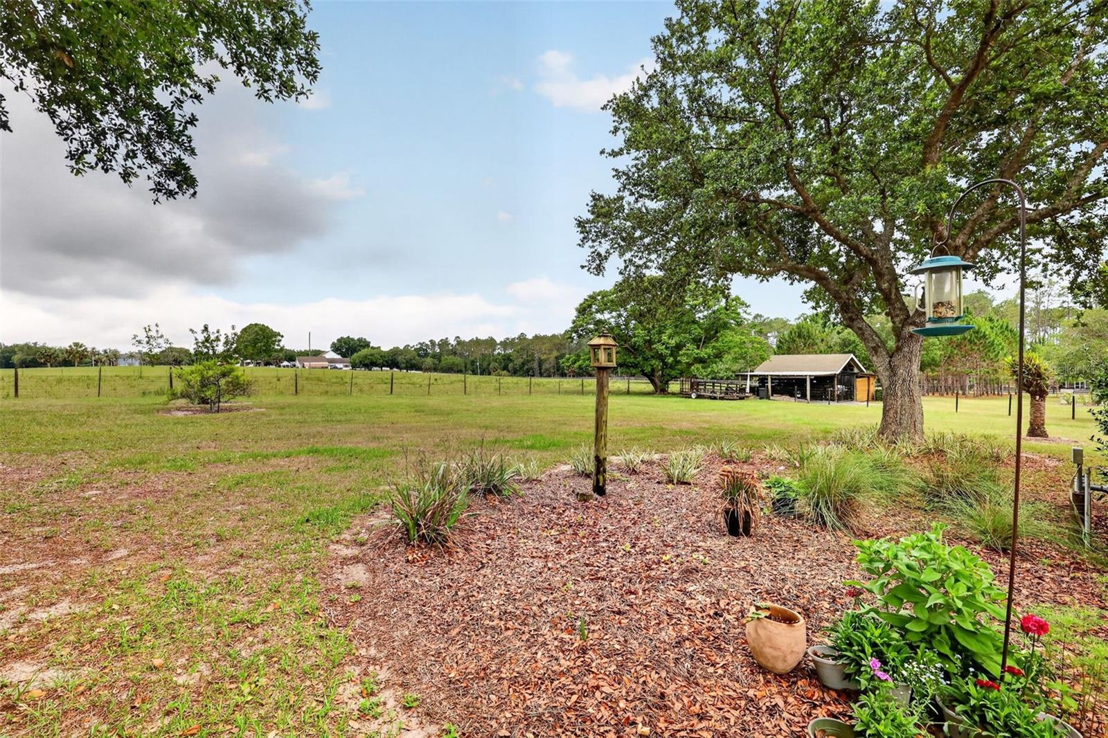 20514 BILL COLLINS RD, EUSTIS, FL, 32736