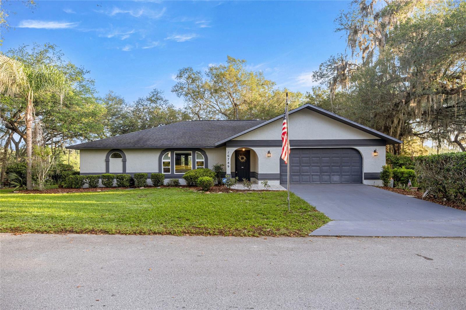 16789 SE 69TH LN, OCKLAWAHA, FL, 32179