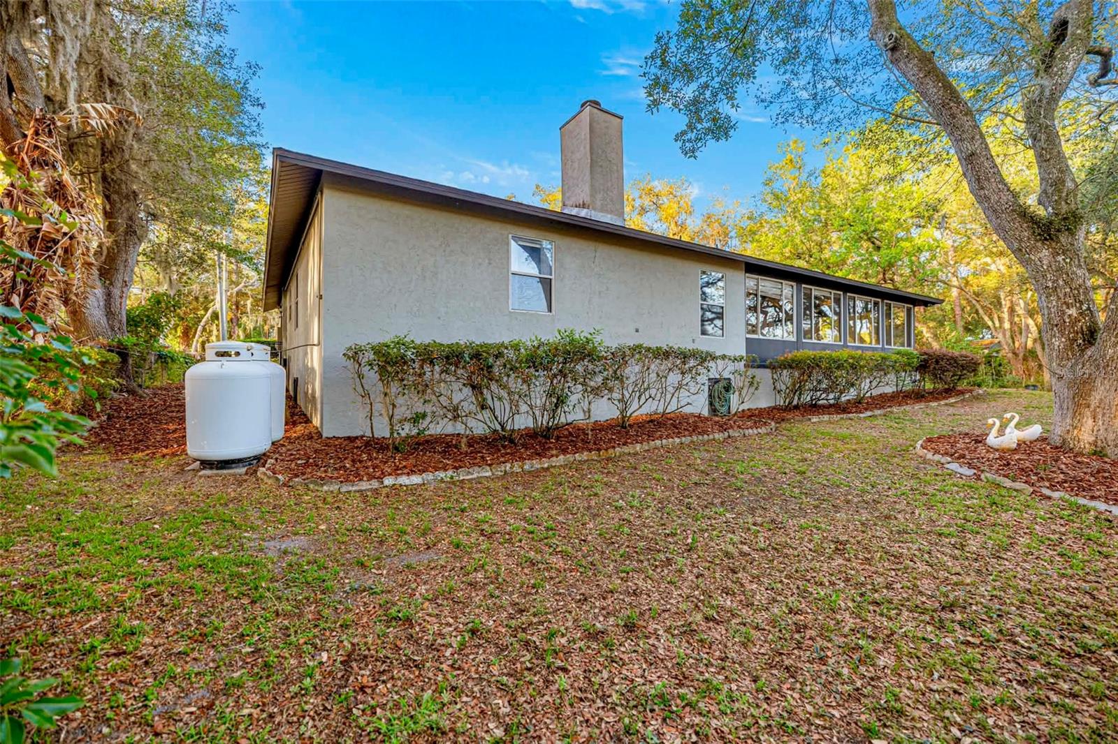 16789 SE 69TH LN, OCKLAWAHA, FL, 32179