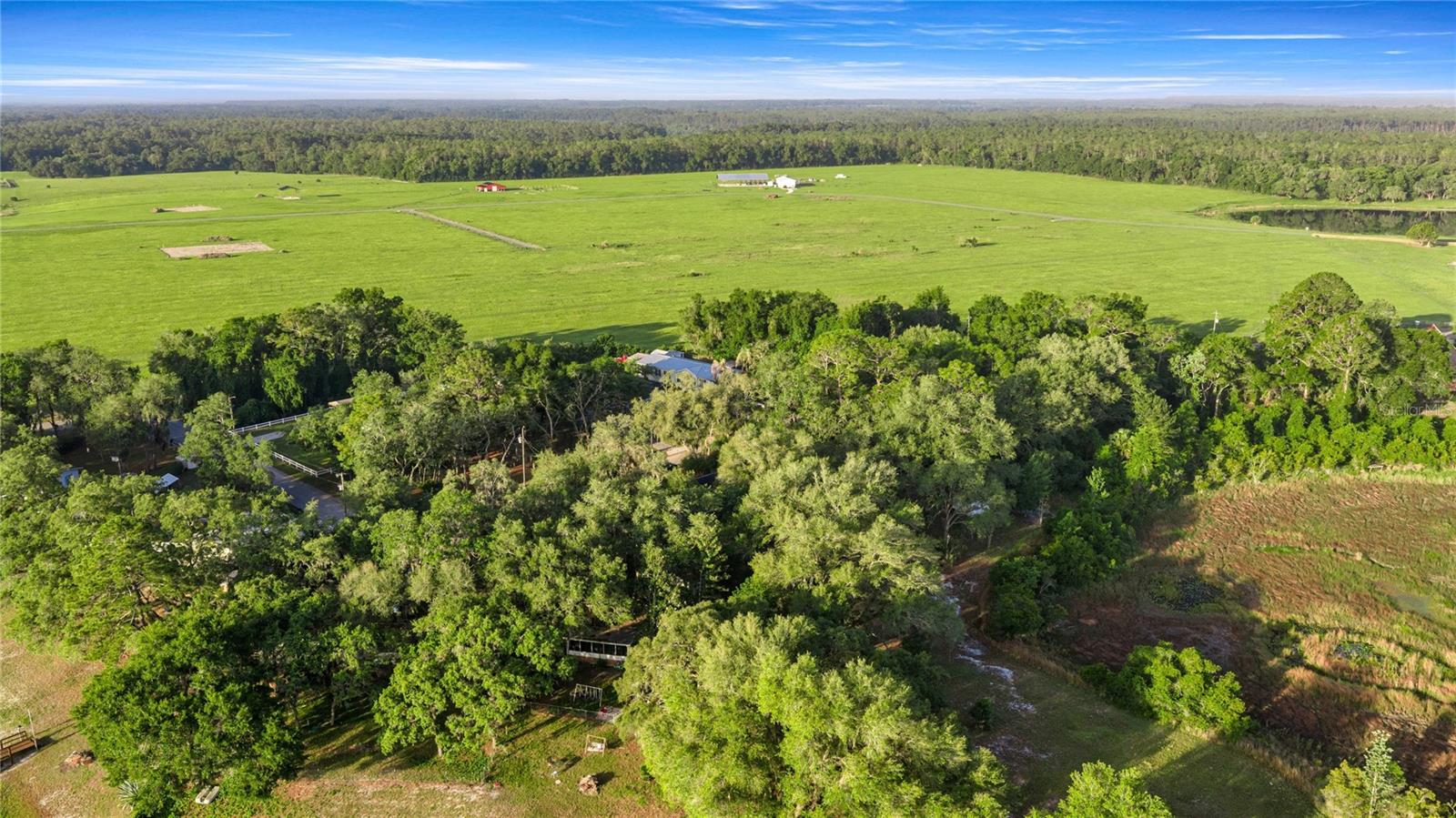 16789 SE 69TH LN, OCKLAWAHA, FL, 32179
