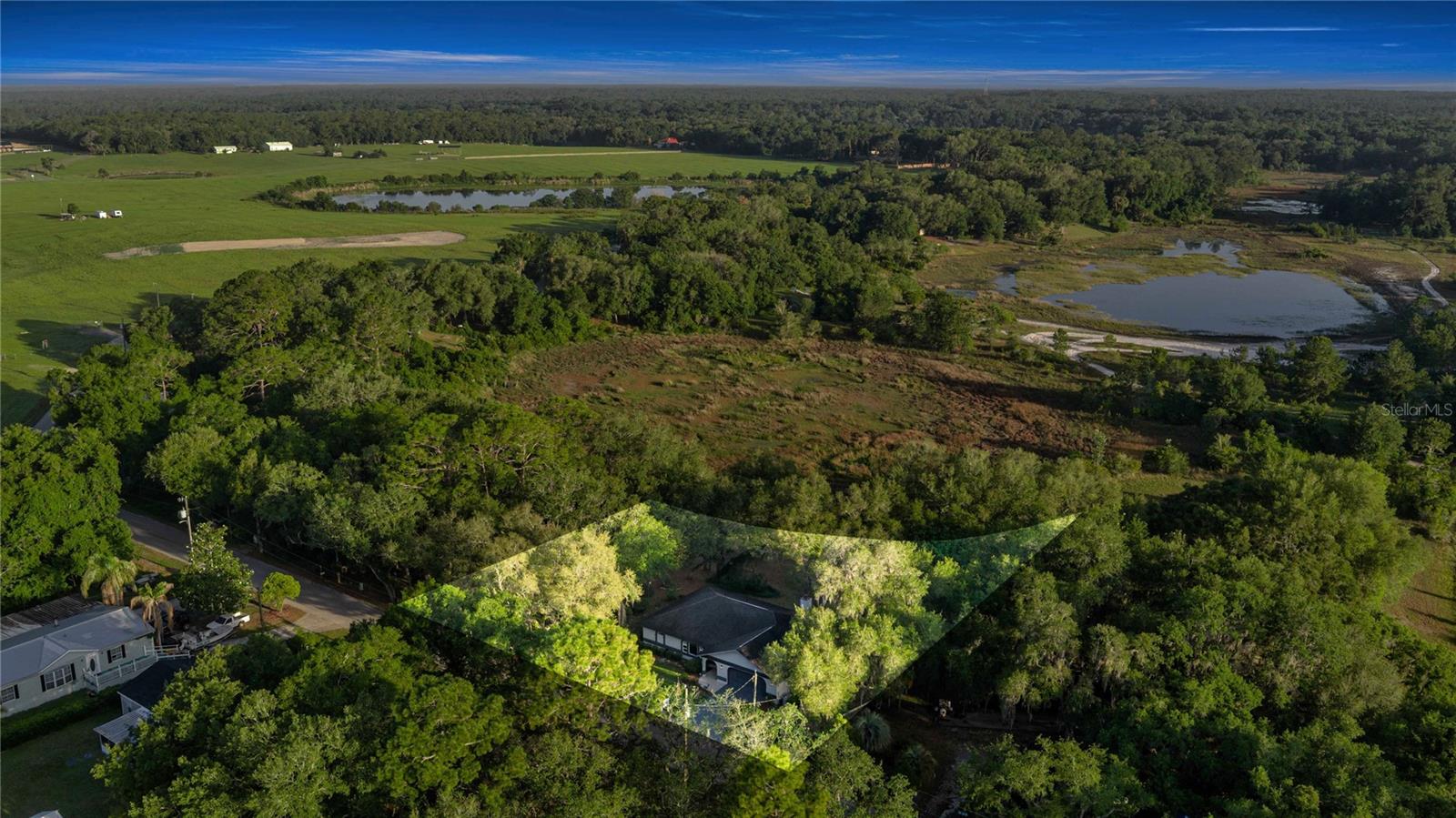 16789 SE 69TH LN, OCKLAWAHA, FL, 32179