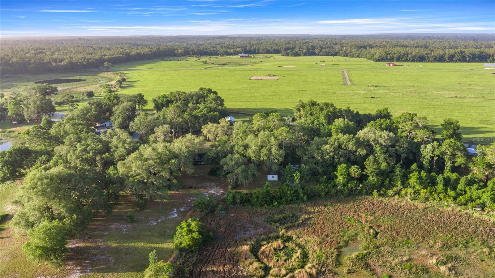 16789 SE 69TH LN, OCKLAWAHA, FL, 32179
