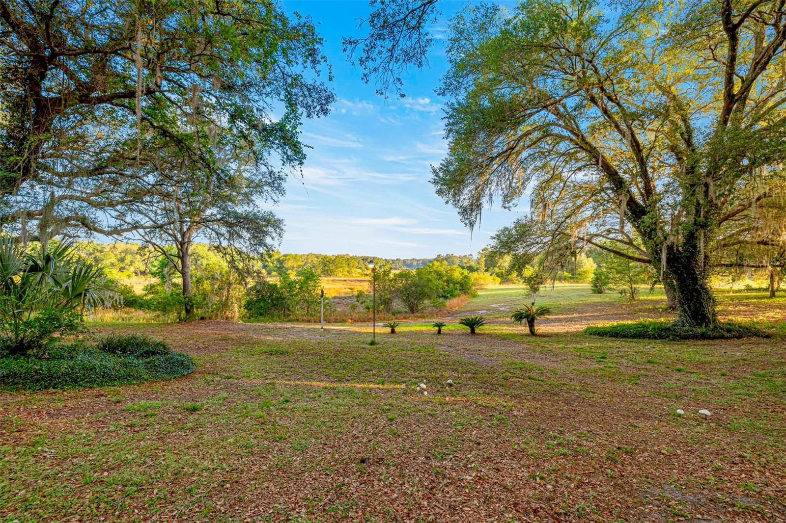 16789 SE 69TH LN, OCKLAWAHA, FL, 32179