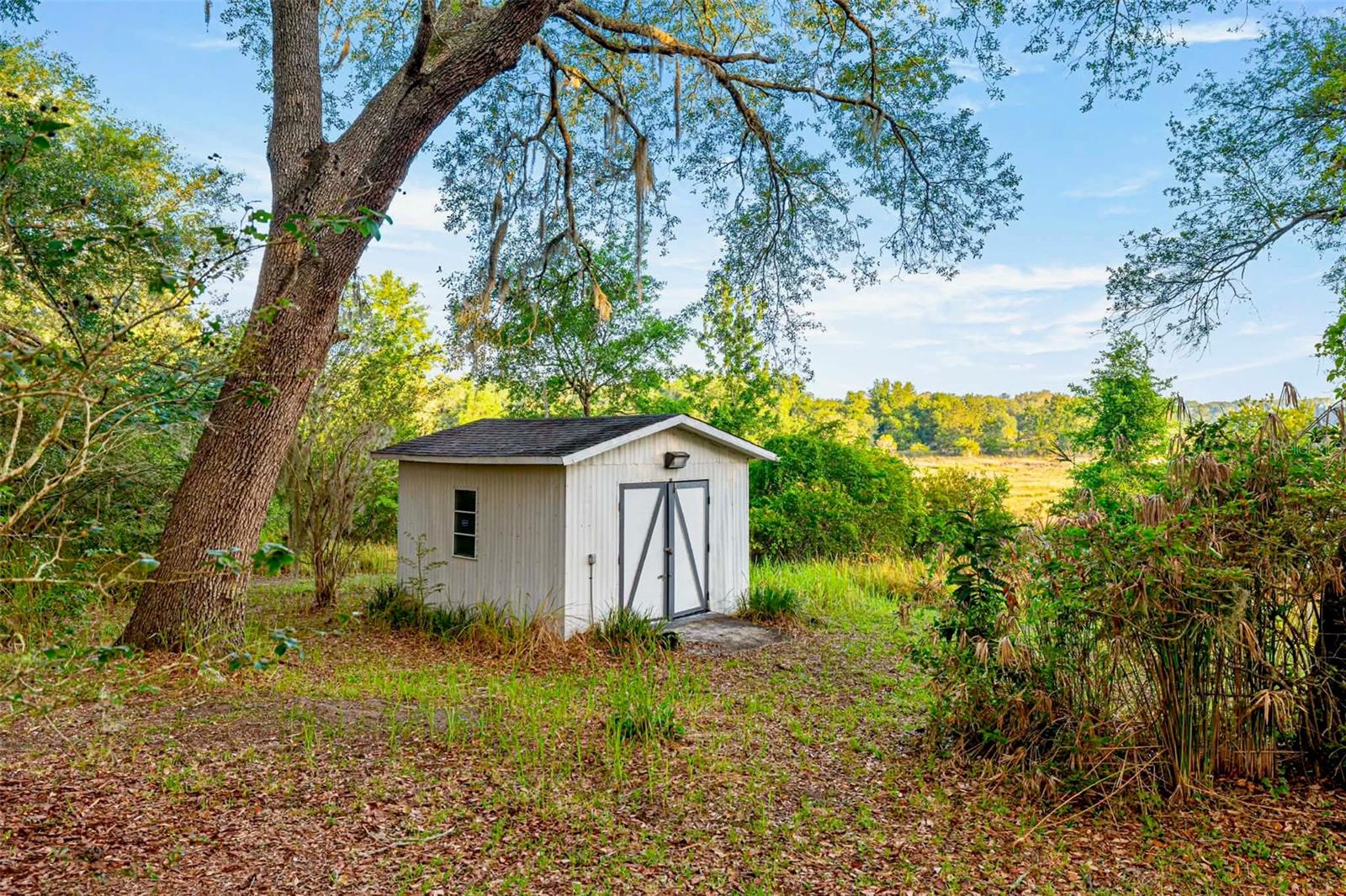 16789 SE 69TH LN, OCKLAWAHA, FL, 32179