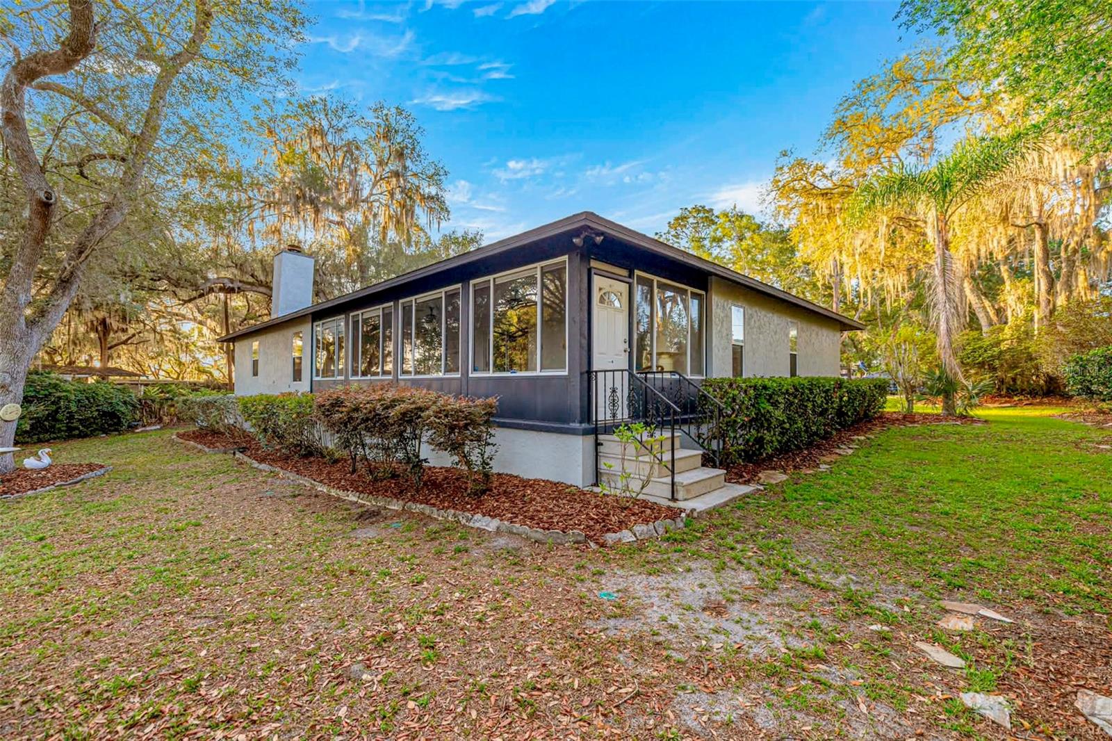16789 SE 69TH LN, OCKLAWAHA, FL, 32179