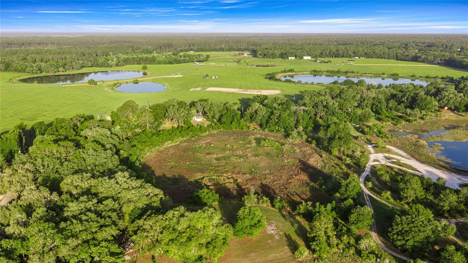 16789 SE 69TH LN, OCKLAWAHA, FL, 32179