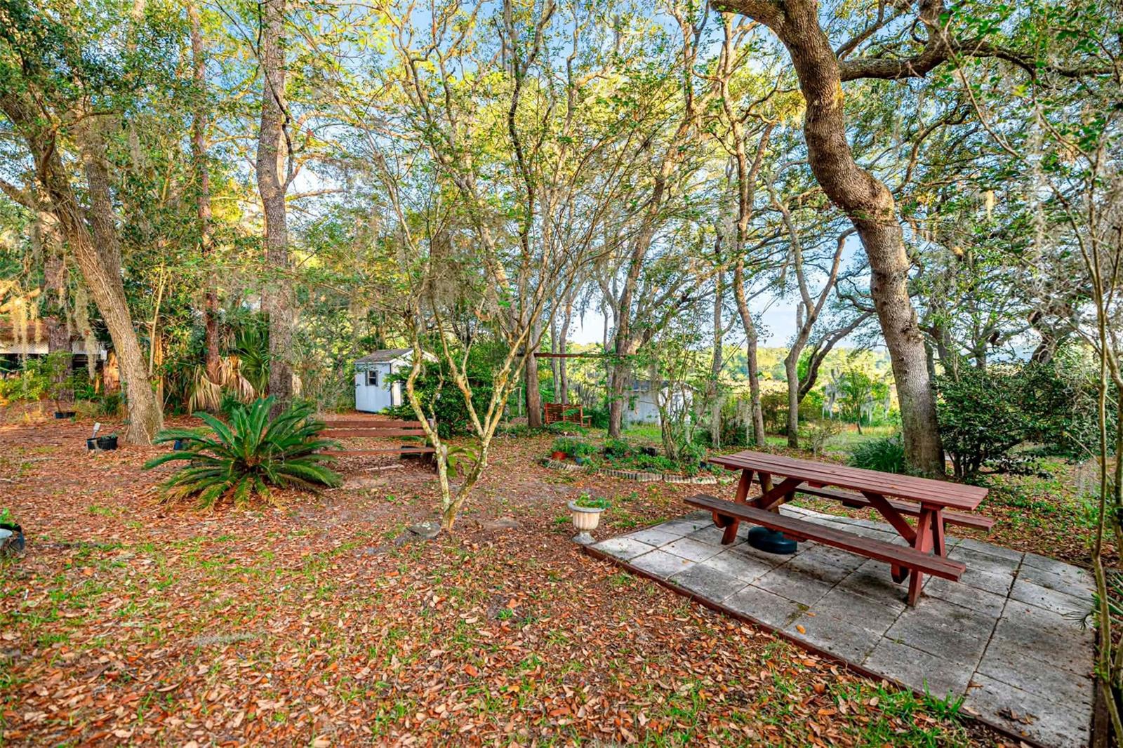 16789 SE 69TH LN, OCKLAWAHA, FL, 32179