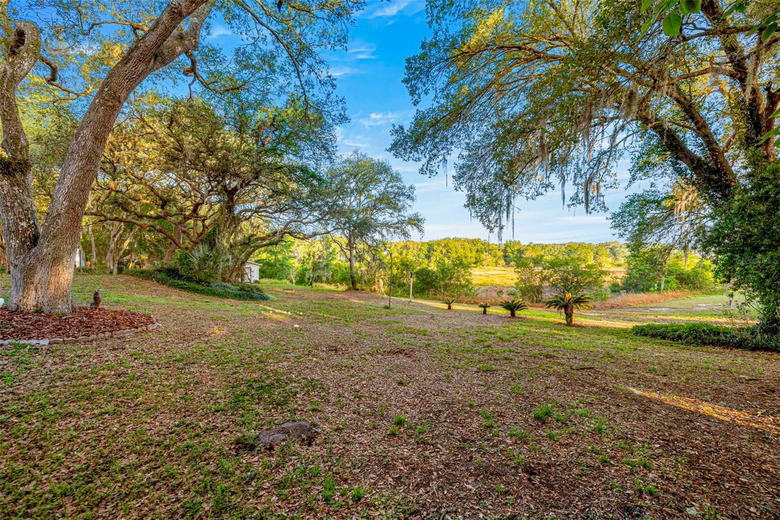 16789 SE 69TH LN, OCKLAWAHA, FL, 32179