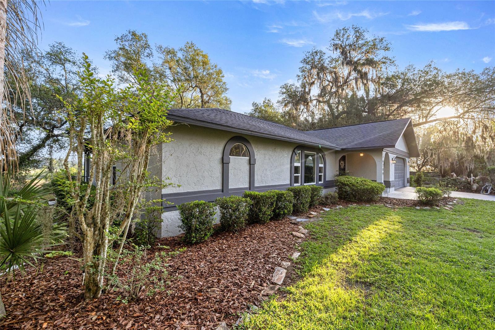 16789 SE 69TH LN, OCKLAWAHA, FL, 32179
