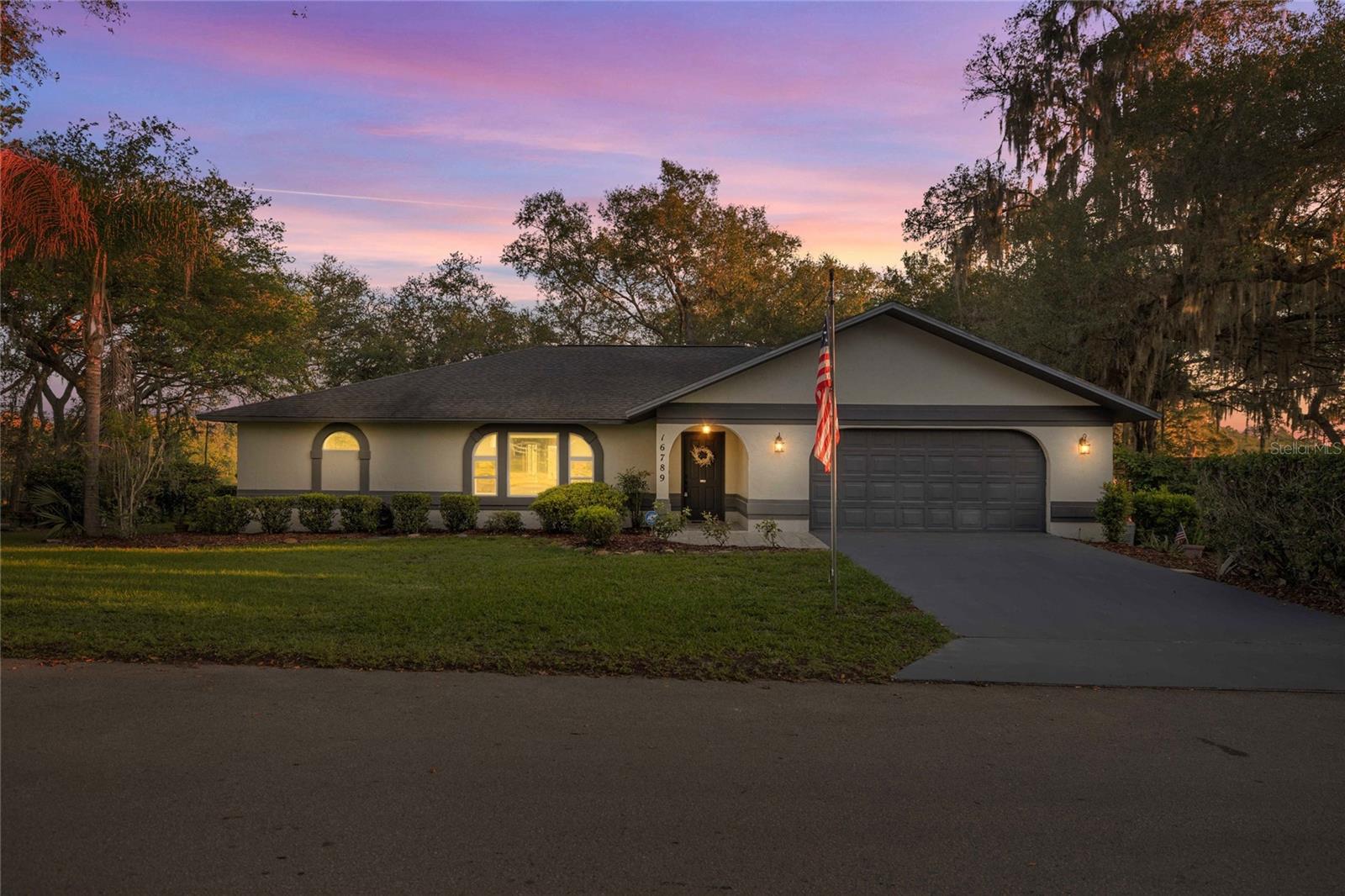16789 SE 69TH LN, OCKLAWAHA, FL, 32179