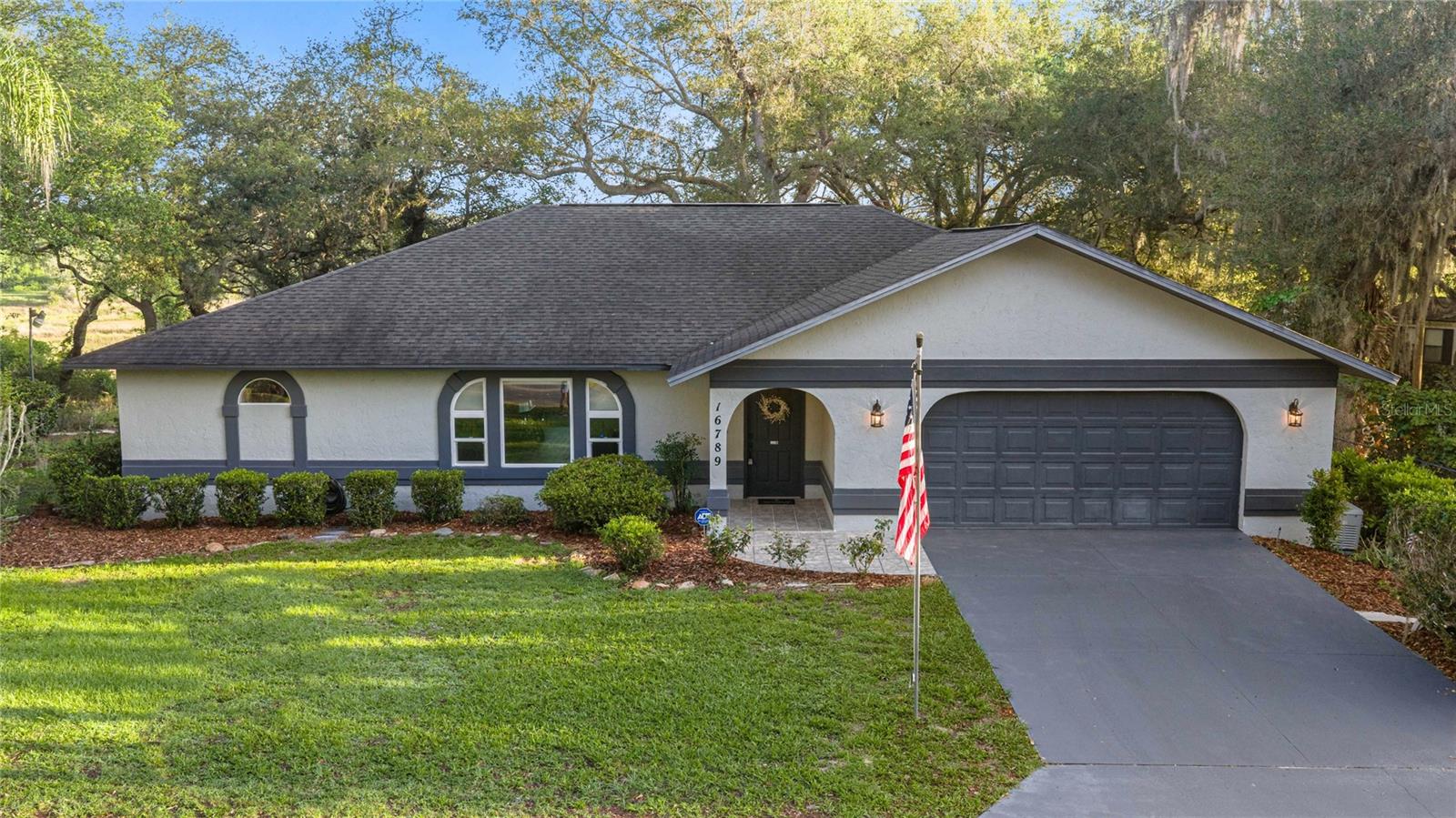 16789 SE 69TH LN, OCKLAWAHA, FL, 32179