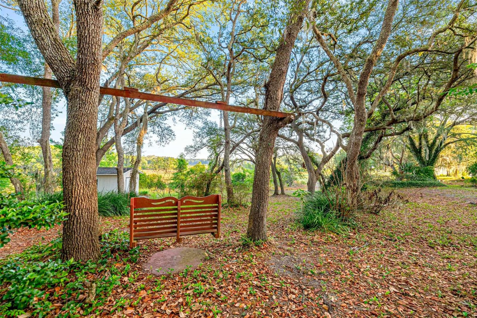 16789 SE 69TH LN, OCKLAWAHA, FL, 32179