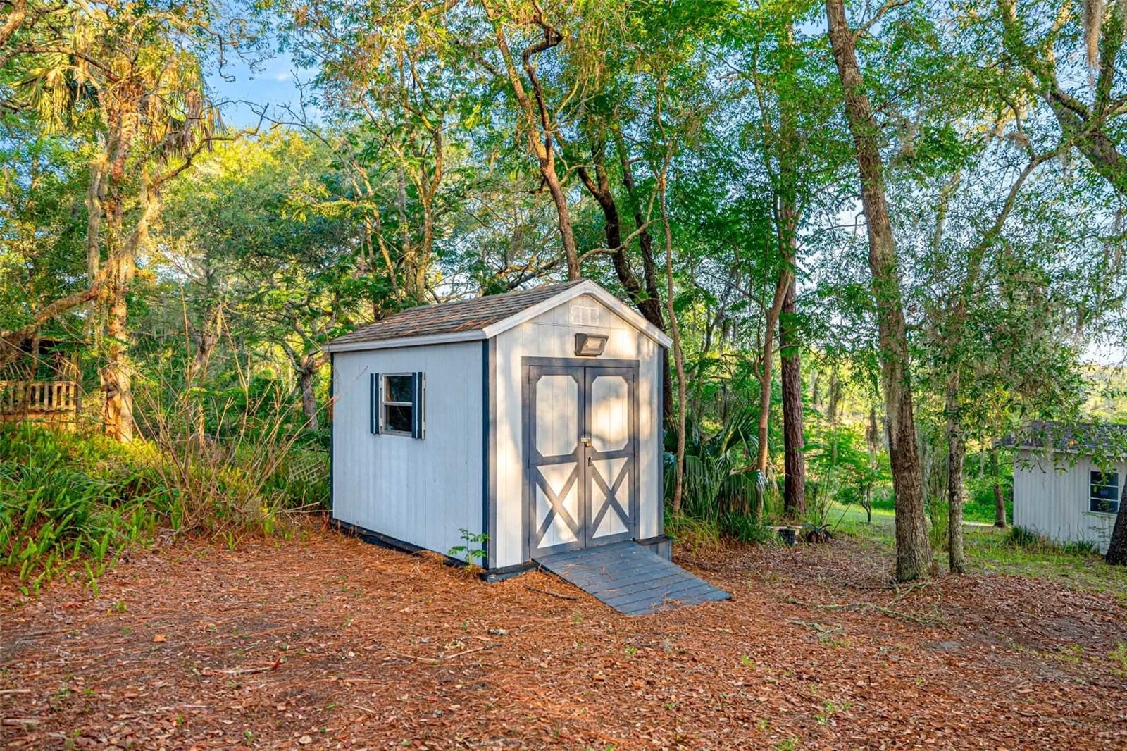 16789 SE 69TH LN, OCKLAWAHA, FL, 32179