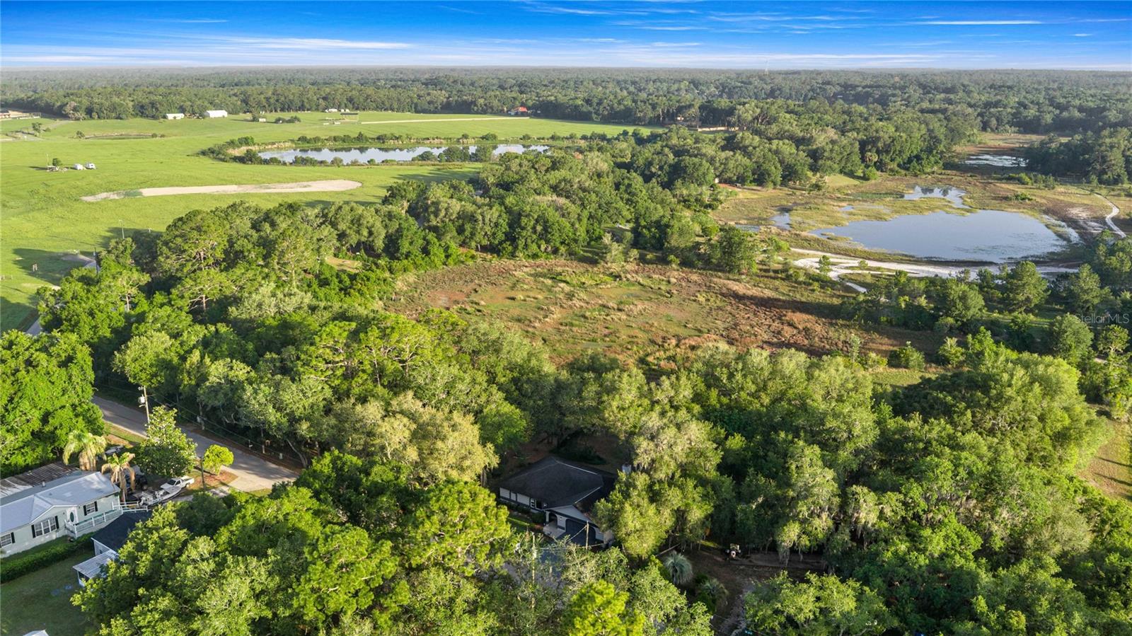 16789 SE 69TH LN, OCKLAWAHA, FL, 32179