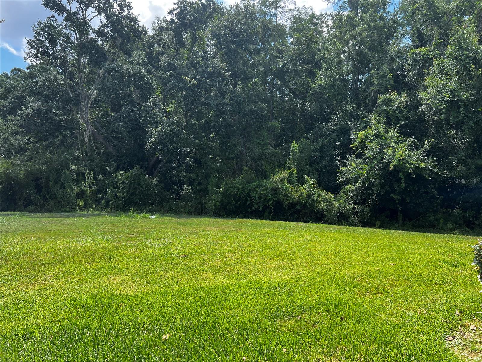 2966 DEER PINE TRL, LAND O LAKES, FL, 34638