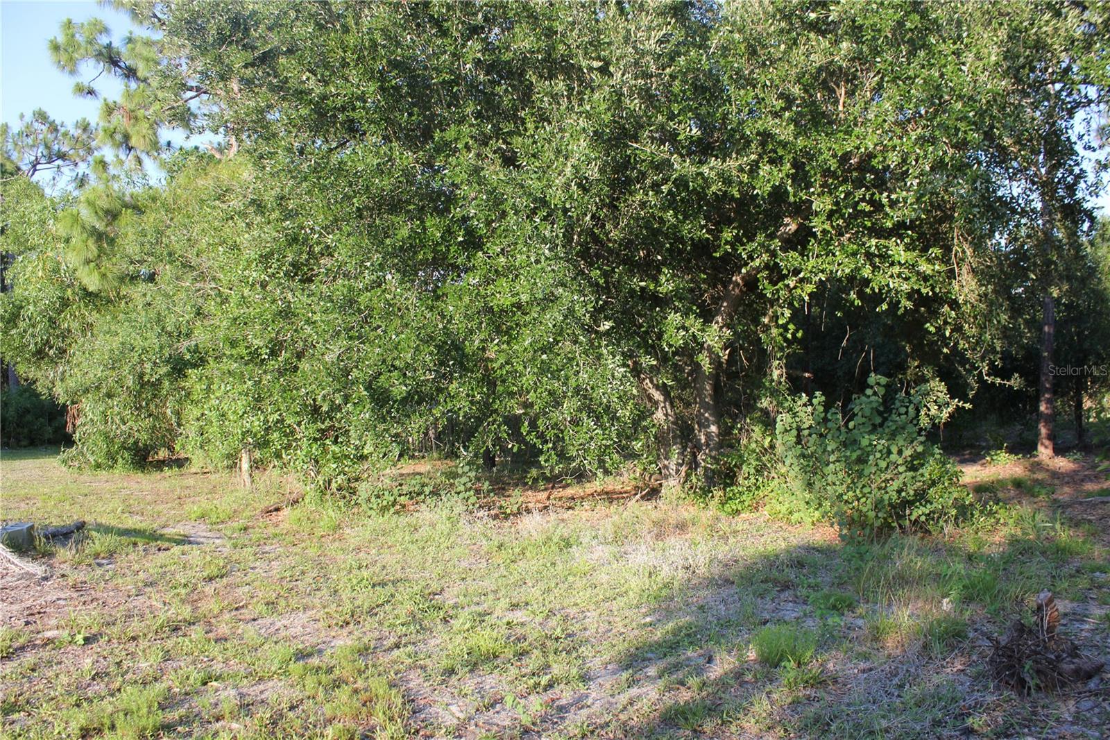 9082 ACORN BLVD, PUNTA GORDA, FL, 33982