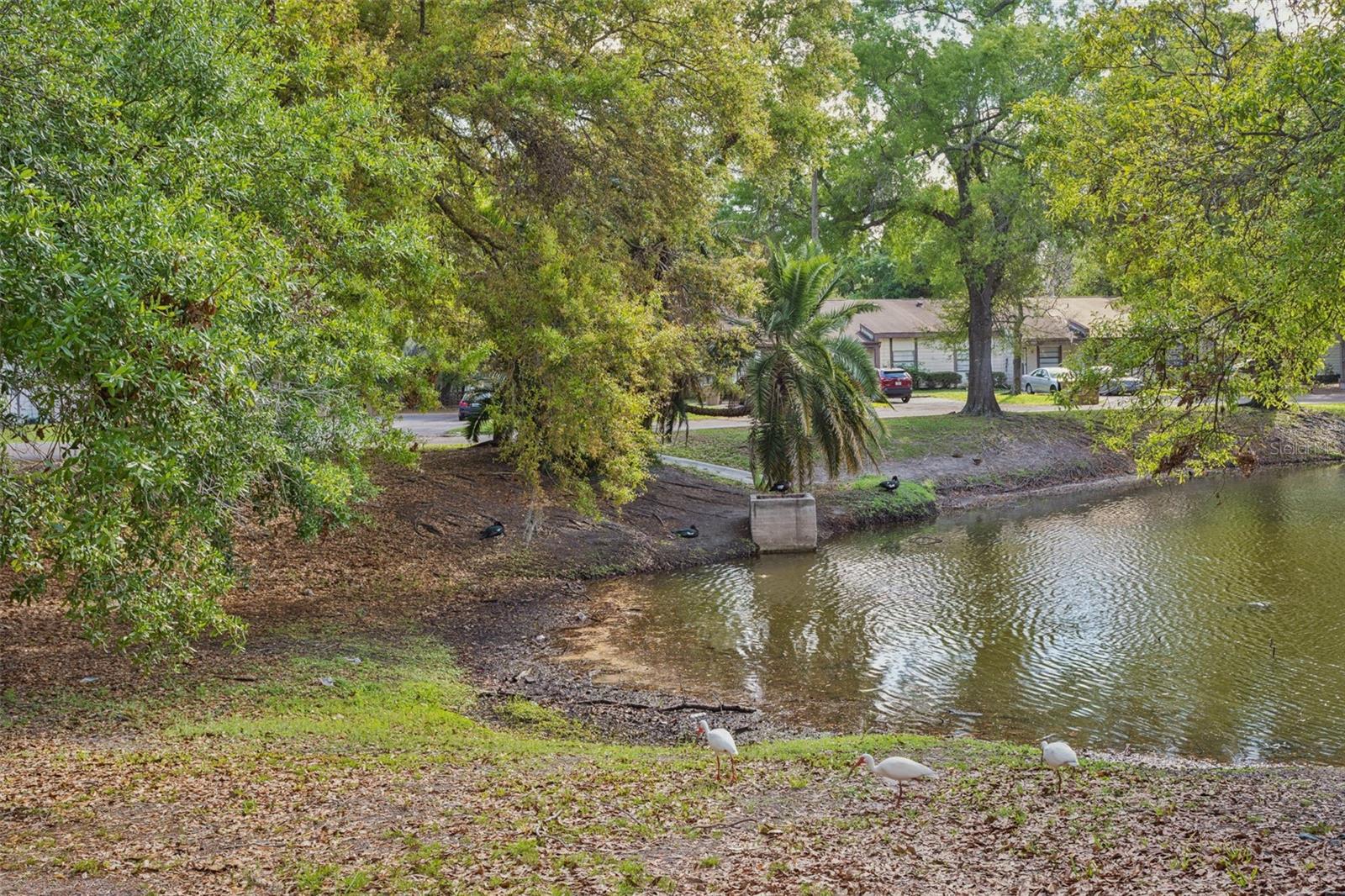 10307 COUNCILS WAY, TAMPA, FL, 33617