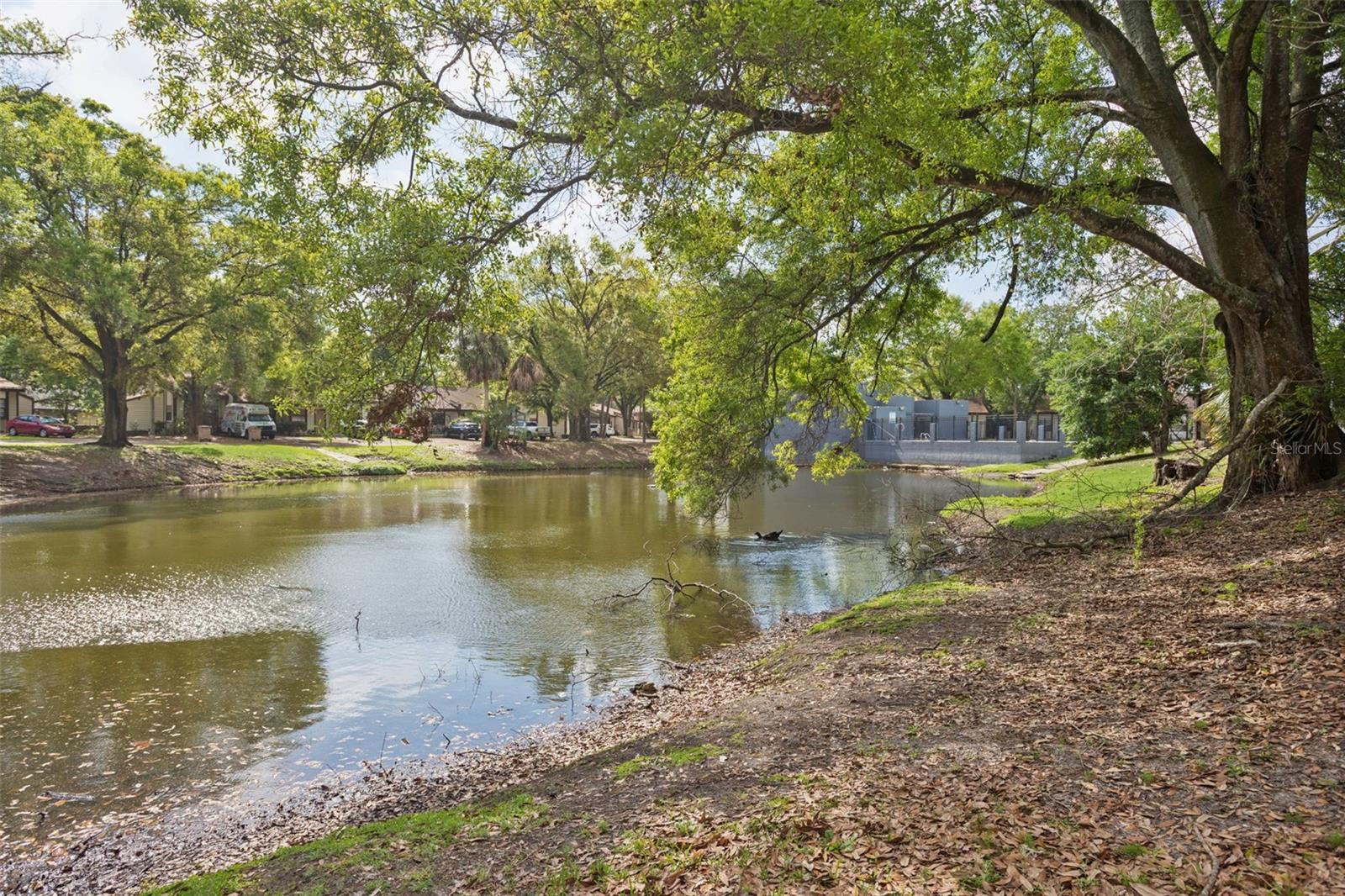 10307 COUNCILS WAY, TAMPA, FL, 33617
