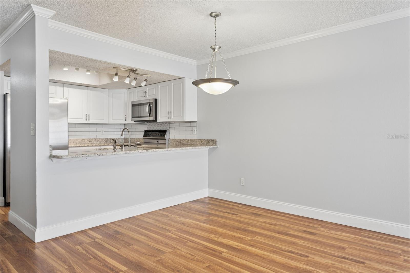 10307 COUNCILS WAY, TAMPA, FL, 33617