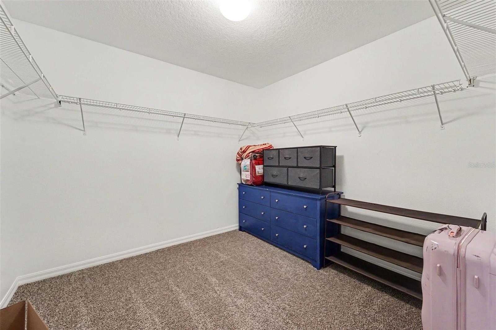 2436 SPRING HOLLOW LOOP, WESLEY CHAPEL, FL, 33544
