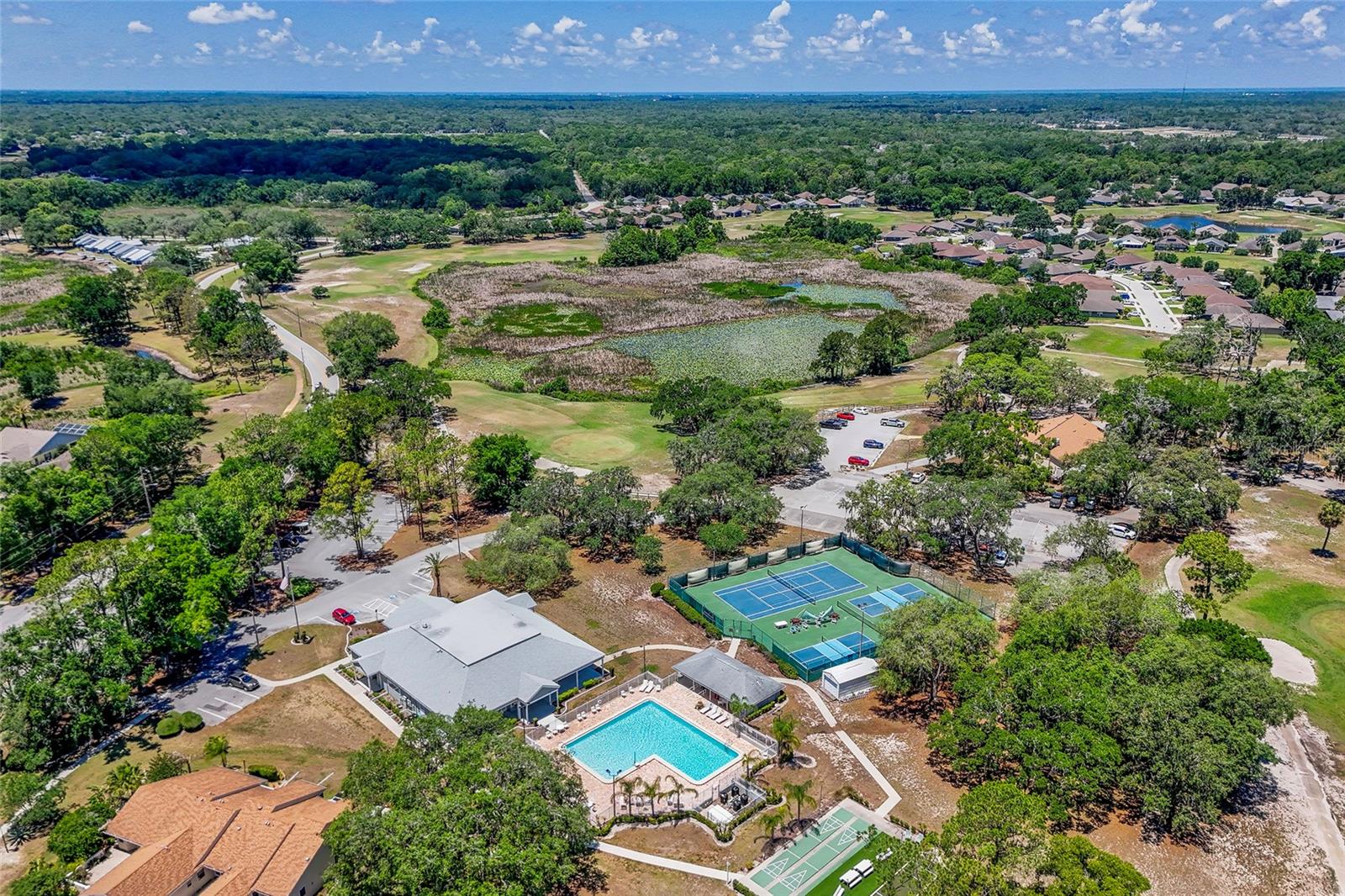13253 GOLF RIDGE PL, HUDSON, FL, 34669