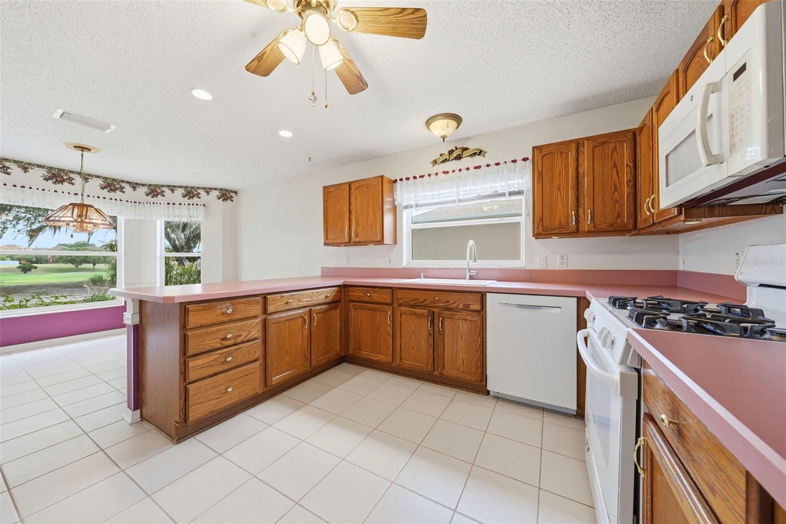 1344 AUGUSTINE DR, THE VILLAGES, FL, 32159