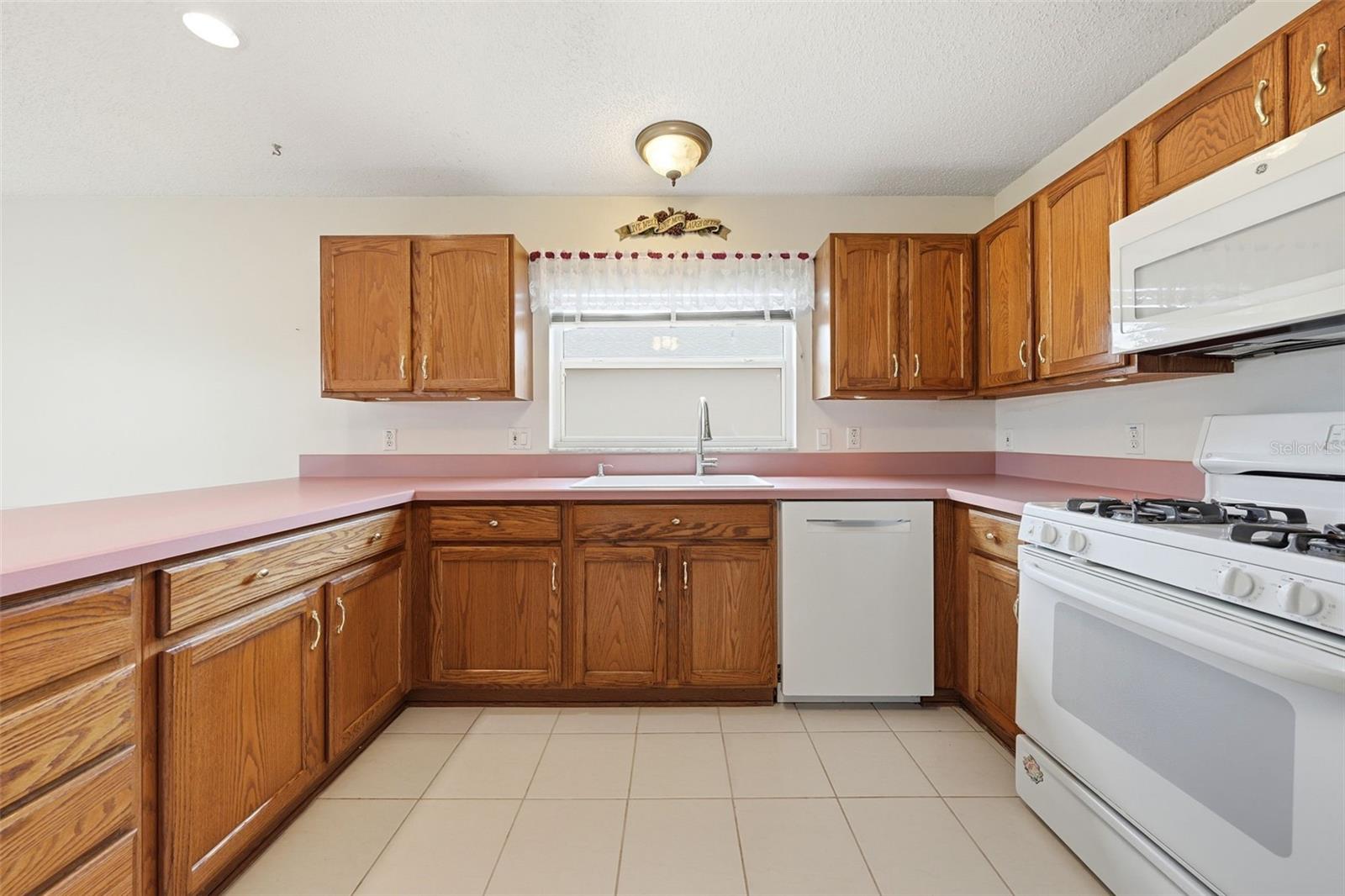 1344 AUGUSTINE DR, THE VILLAGES, FL, 32159