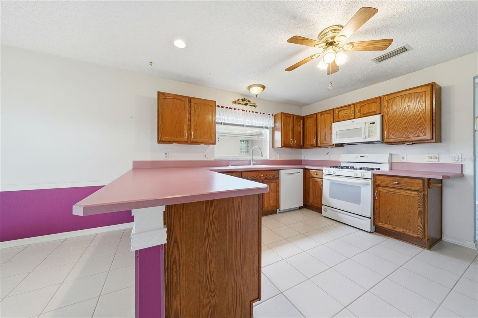 1344 AUGUSTINE DR, THE VILLAGES, FL, 32159